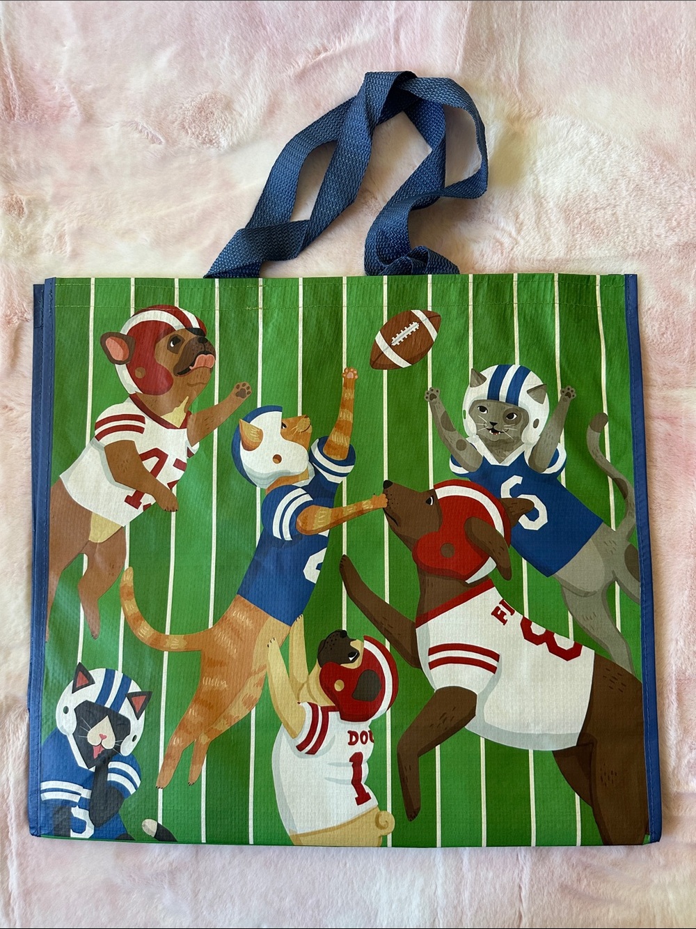 Football Dogs & Cats Reusable Tote Bag - Marshalls, TJ Maxx, Homegoods NWT